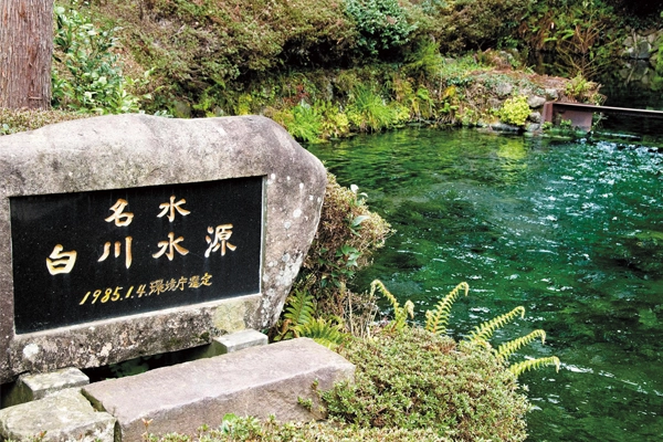かごしま茶